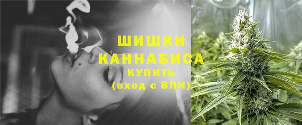 PSILOCYBIN Абаза