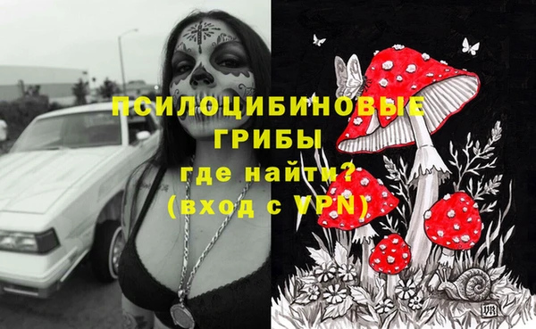 бошки Абинск