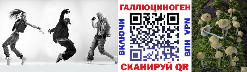 Псилоцибиновые грибы MAGIC MUSHROOMS  даркнет сайт  Шарья 